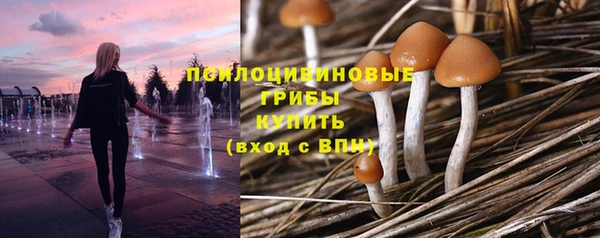 дурь Волоколамск