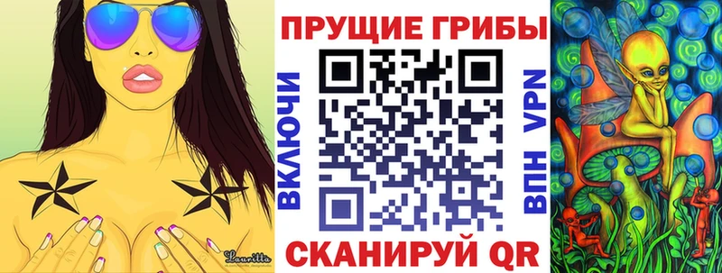 omg ТОР Магнитогорск Галлюциногенные грибы Psilocybine cubensis как найти